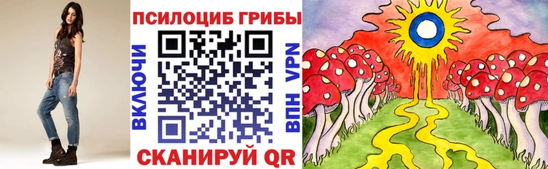 Псилоцибиновые грибы Psilocybe  Ардатов 